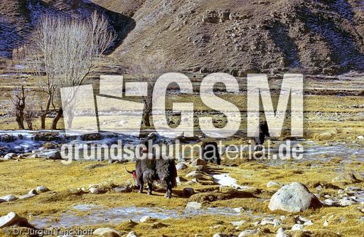 Tibet (119 von 257).jpg